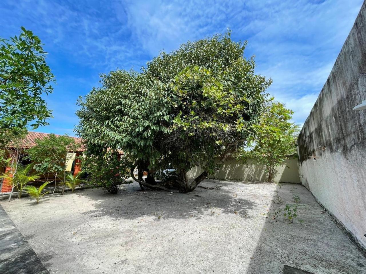 Recanto Das Aroeiras Alcobaça 외부 사진